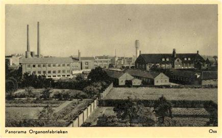 BCC0051_ansichtpanoramaOrganon_1960 (jpg)