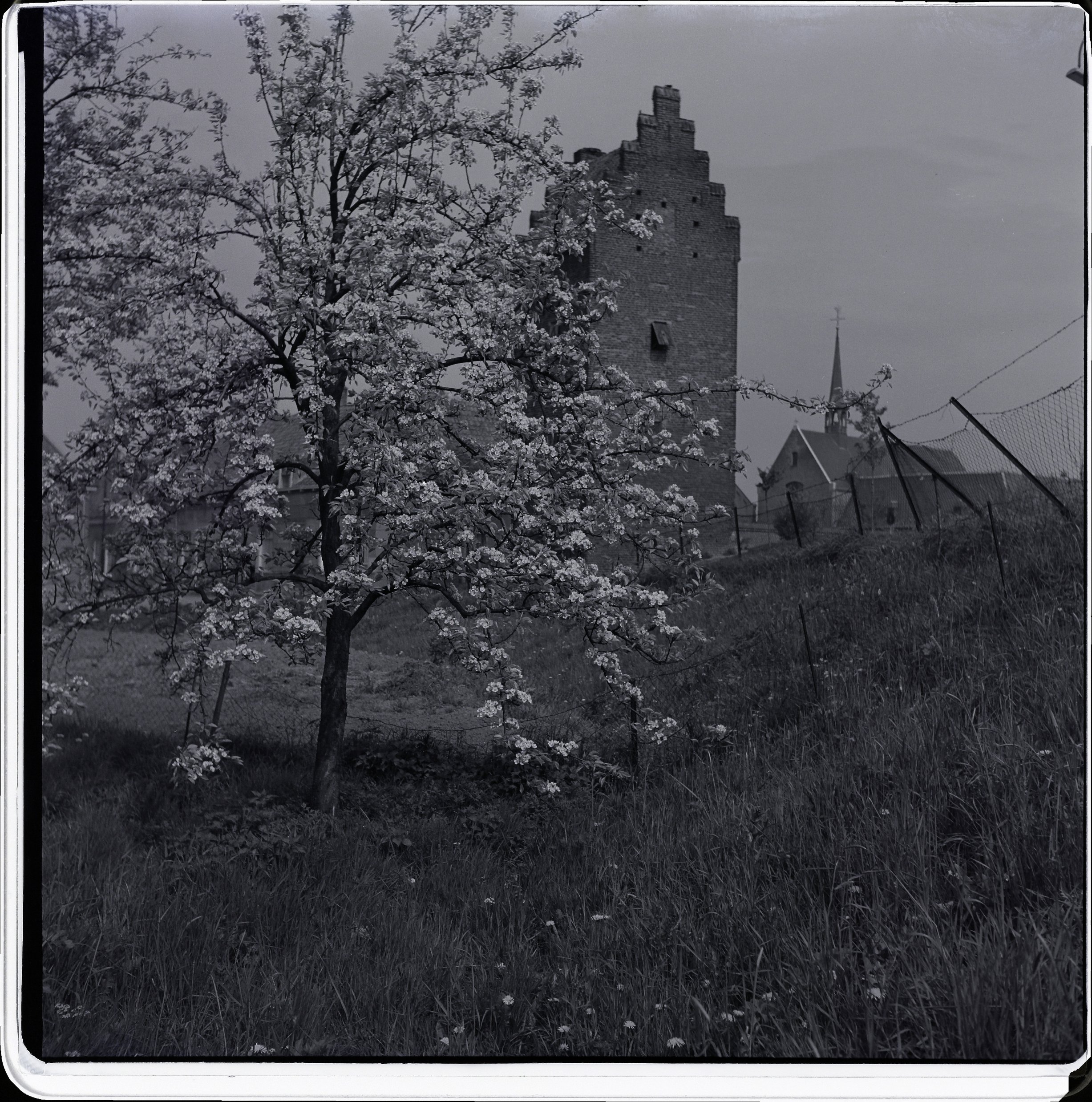 Megen_LvdB_verkleind_LBN070318 (jpg) Megen_LvdB_verkleind_LBN070318 (jpg)