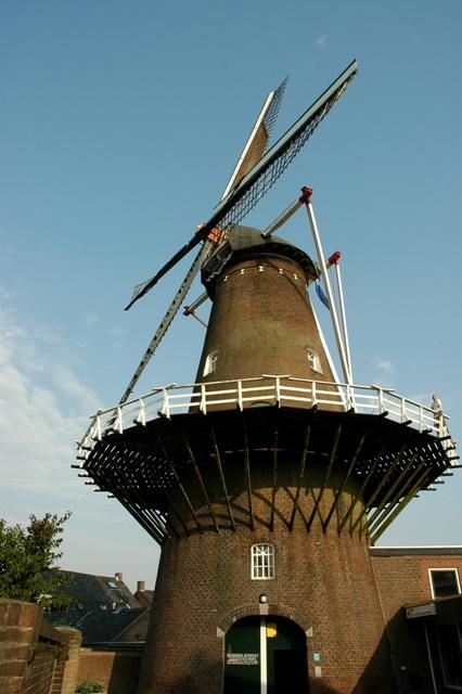 Oss_MolenZeldenRust_oss_07_klein (jpg) Oss_MolenZeldenRust_oss_07_klein (jpg)