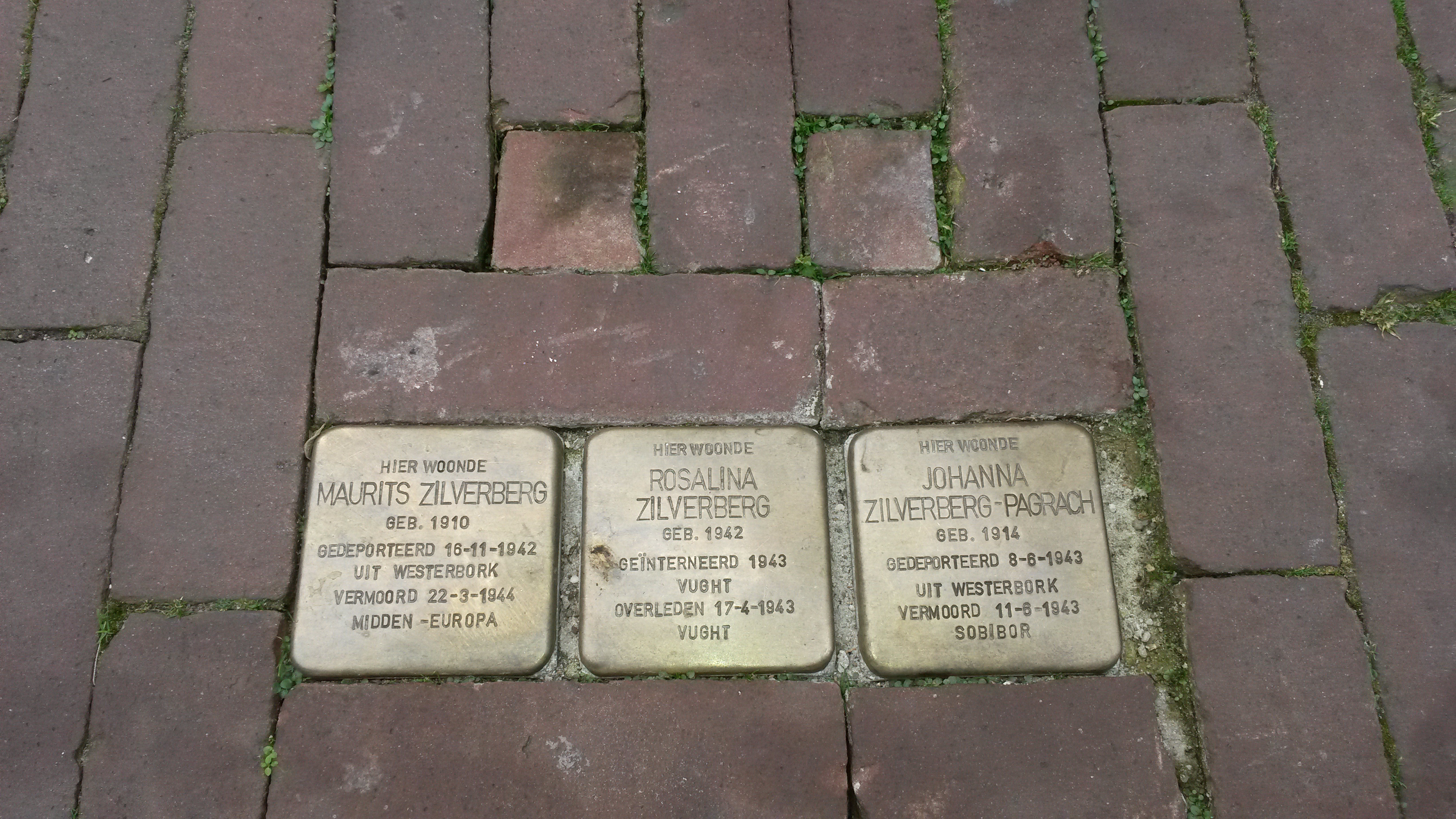 struikelstenen_peperstraat (jpg)